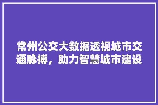 常州公交大数据透视城市交通脉搏，助力智慧城市建设