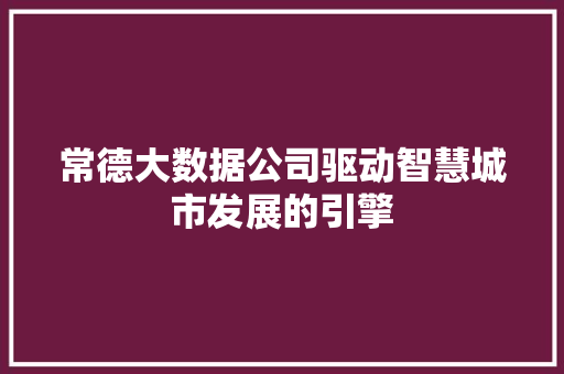 常德大数据公司驱动智慧城市发展的引擎