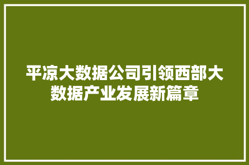 平凉大数据公司引领西部大数据产业发展新篇章
