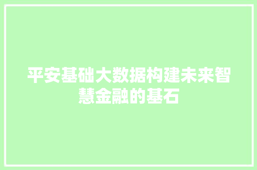 平安基础大数据构建未来智慧金融的基石