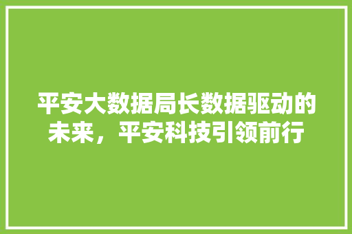 平安大数据局长数据驱动的未来，平安科技引领前行