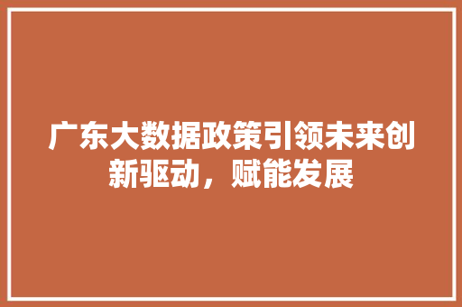 广东大数据政策引领未来创新驱动，赋能发展