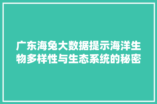 广东海兔大数据提示海洋生物多样性与生态系统的秘密