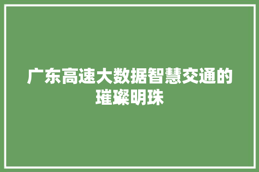广东高速大数据智慧交通的璀璨明珠