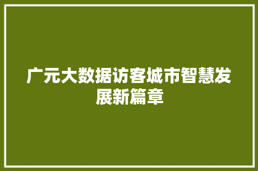 广元大数据访客城市智慧发展新篇章