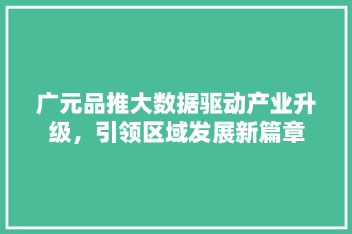 广元品推大数据驱动产业升级，引领区域发展新篇章