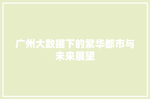 广州大数据下的繁华都市与未来展望