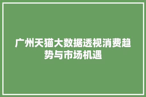 广州天猫大数据透视消费趋势与市场机遇