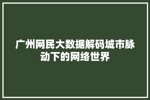 广州网民大数据解码城市脉动下的网络世界