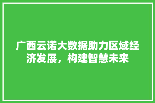 广西云诺大数据助力区域经济发展，构建智慧未来