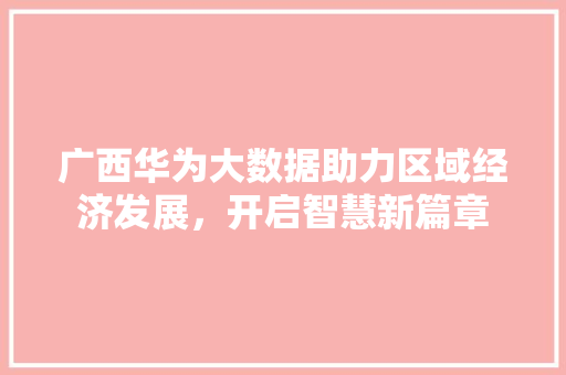 广西华为大数据助力区域经济发展，开启智慧新篇章