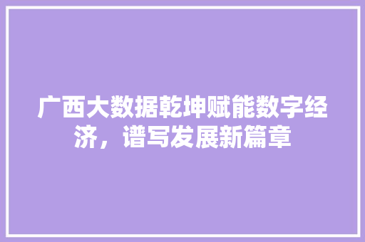 广西大数据乾坤赋能数字经济，谱写发展新篇章