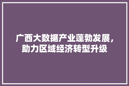 广西大数据产业蓬勃发展，助力区域经济转型升级