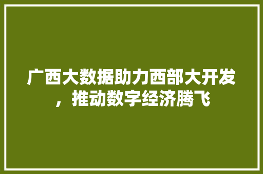 广西大数据助力西部大开发，推动数字经济腾飞
