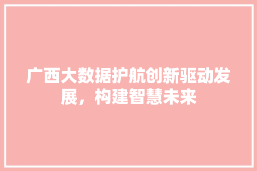 广西大数据护航创新驱动发展，构建智慧未来