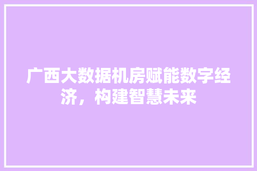 广西大数据机房赋能数字经济，构建智慧未来