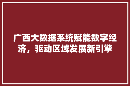 广西大数据系统赋能数字经济，驱动区域发展新引擎