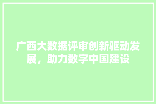 广西大数据评审创新驱动发展，助力数字中国建设