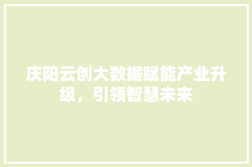 庆阳云创大数据赋能产业升级，引领智慧未来
