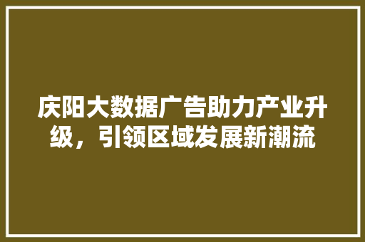 庆阳大数据广告助力产业升级，引领区域发展新潮流