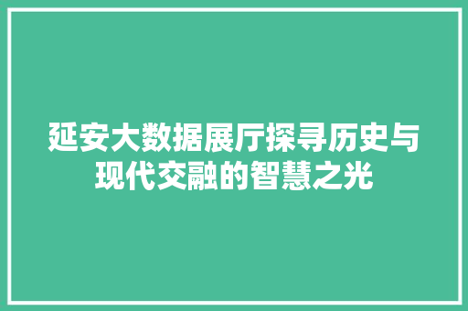 延安大数据展厅探寻历史与现代交融的智慧之光