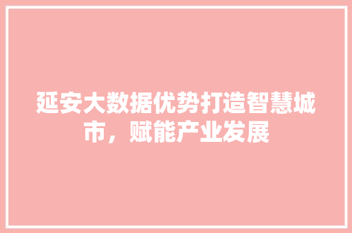 延安大数据优势打造智慧城市，赋能产业发展