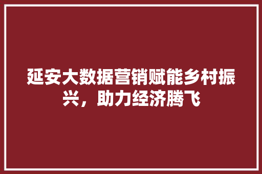 延安大数据营销赋能乡村振兴，助力经济腾飞