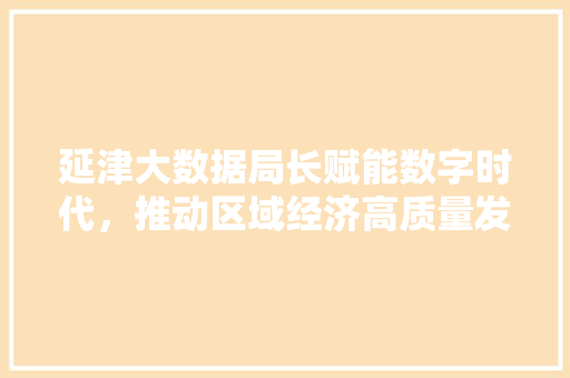 延津大数据局长赋能数字时代，推动区域经济高质量发展
