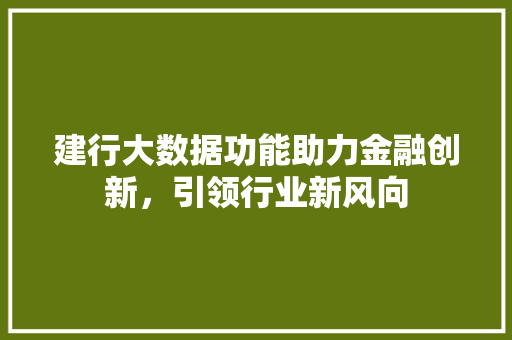 建行大数据功能助力金融创新，引领行业新风向