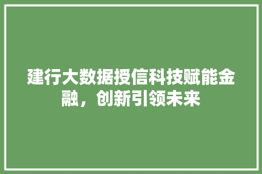 建行大数据授信科技赋能金融，创新引领未来