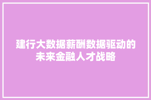 建行大数据薪酬数据驱动的未来金融人才战略