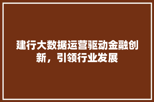 建行大数据运营驱动金融创新，引领行业发展