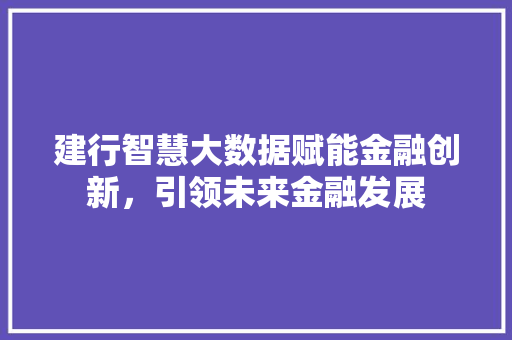 建行智慧大数据赋能金融创新，引领未来金融发展