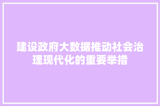 建设政府大数据推动社会治理现代化的重要举措