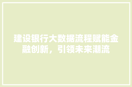 建设银行大数据流程赋能金融创新，引领未来潮流