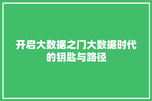 开启大数据之门大数据时代的钥匙与路径