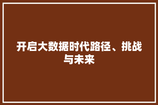 开启大数据时代路径、挑战与未来