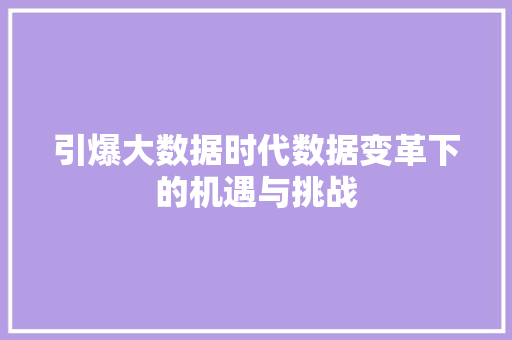 引爆大数据时代数据变革下的机遇与挑战