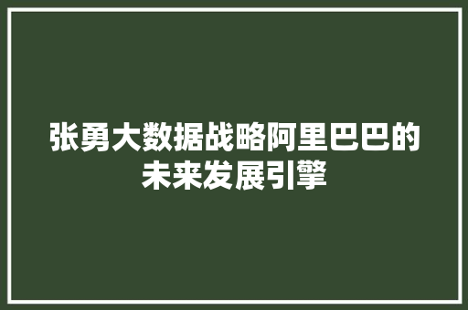 张勇大数据战略阿里巴巴的未来发展引擎