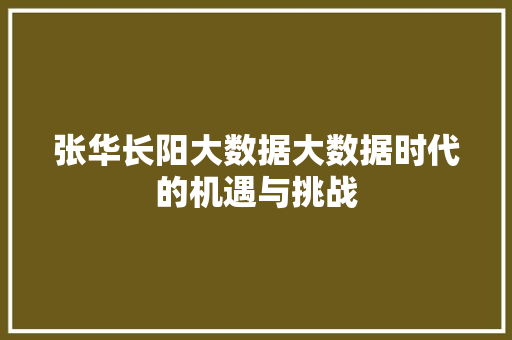 张华长阳大数据大数据时代的机遇与挑战