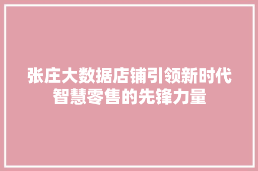 张庄大数据店铺引领新时代智慧零售的先锋力量