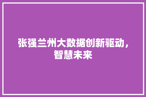 张强兰州大数据创新驱动，智慧未来