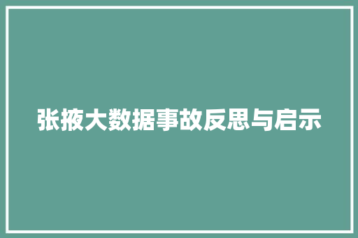 张掖大数据事故反思与启示