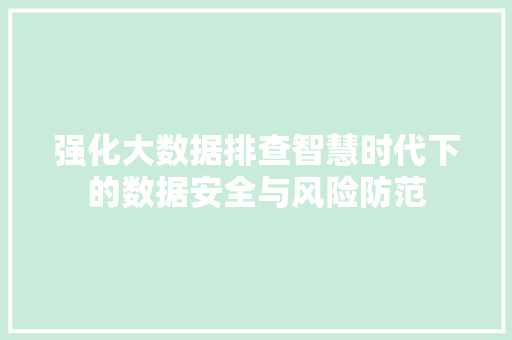 强化大数据排查智慧时代下的数据安全与风险防范