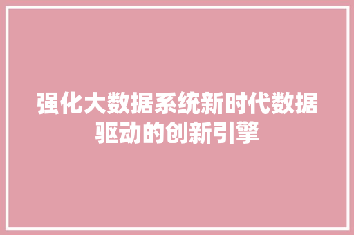 强化大数据系统新时代数据驱动的创新引擎