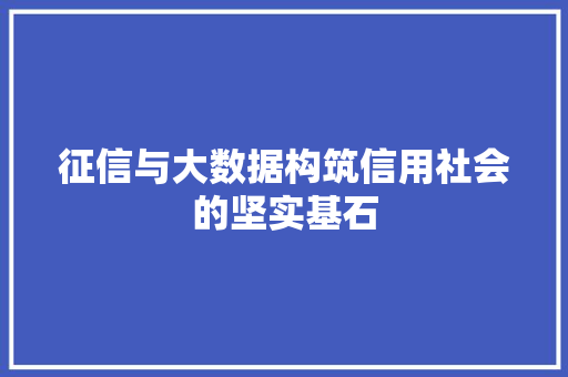 征信与大数据构筑信用社会的坚实基石