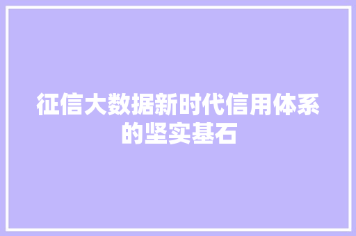 征信大数据新时代信用体系的坚实基石