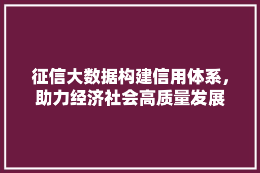 征信大数据构建信用体系，助力经济社会高质量发展