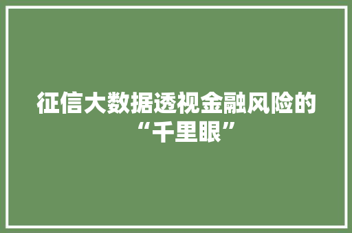 征信大数据透视金融风险的“千里眼”