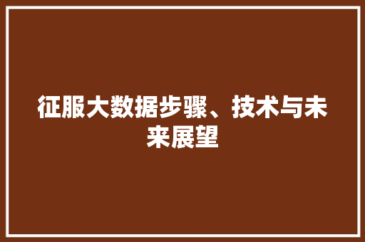 征服大数据步骤、技术与未来展望